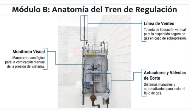 Anatomía del Tren de Regulación Deltagas